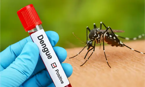 Health Insurance for Dengue