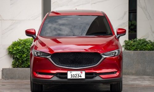 Abu Dhabi Car Number Plate