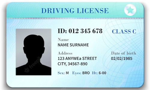 Driving Licence Check