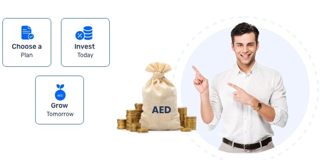 Investment plan in UAE