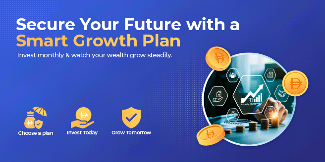 Investment plan in UAE