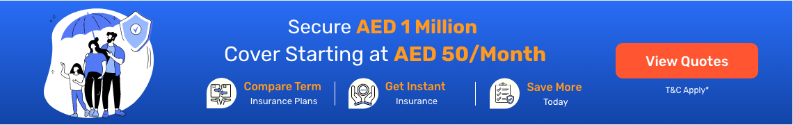 Buy Term Insurance in Dubai